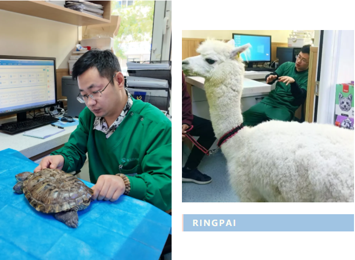 1773024460921598.png 1773024460921598.png