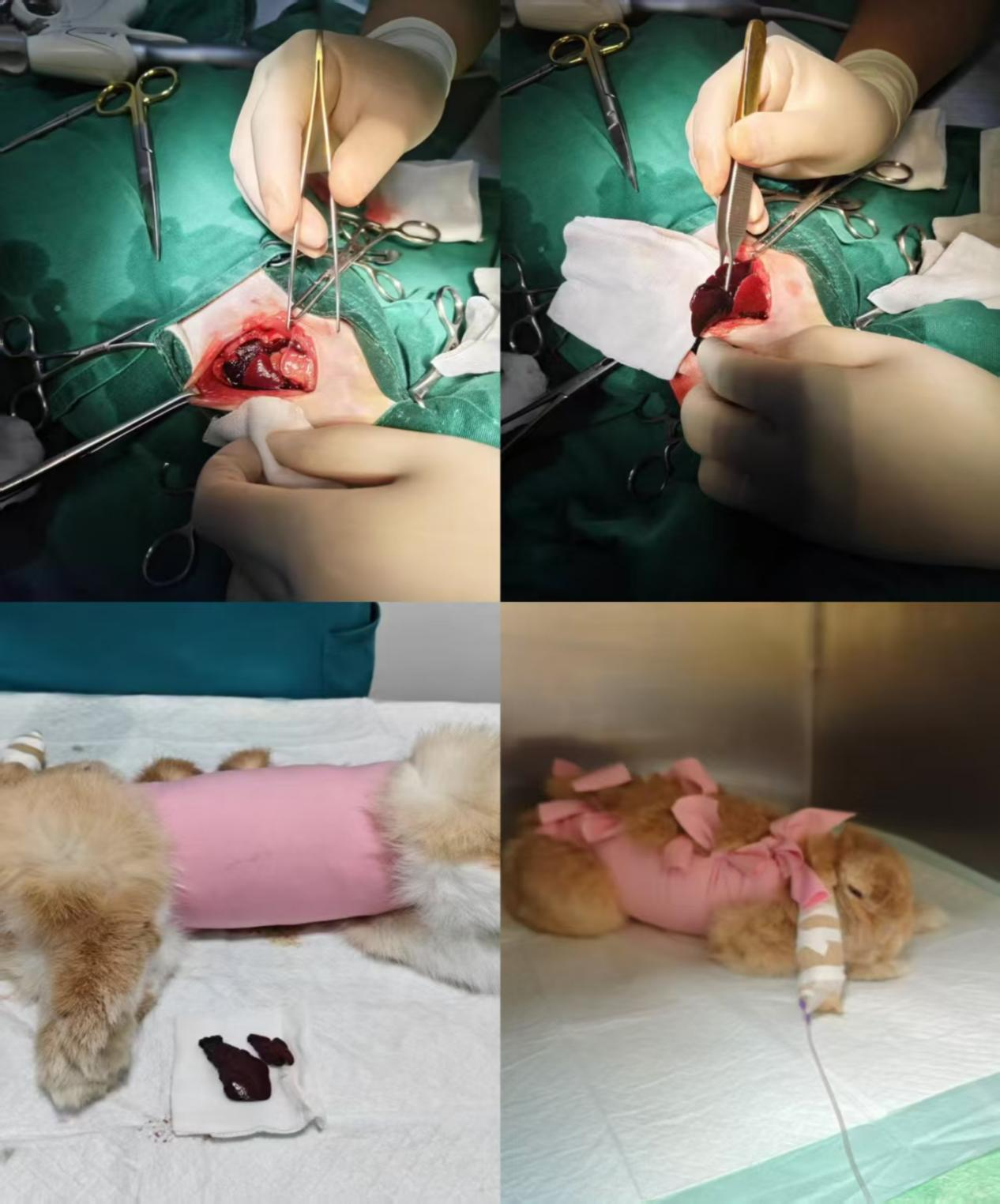 1773024478211618.png 1773024478211618.png