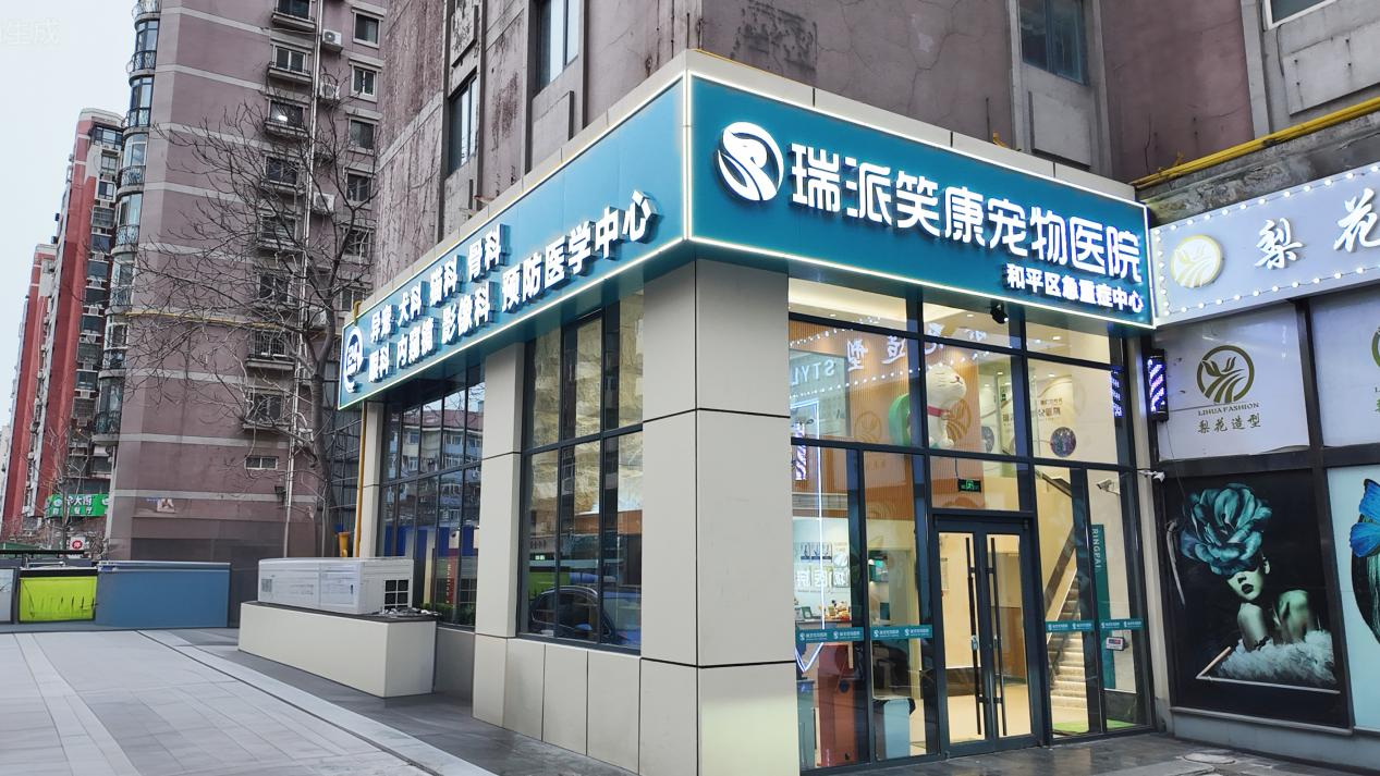 1773024511784040.png 1773024511784040.png