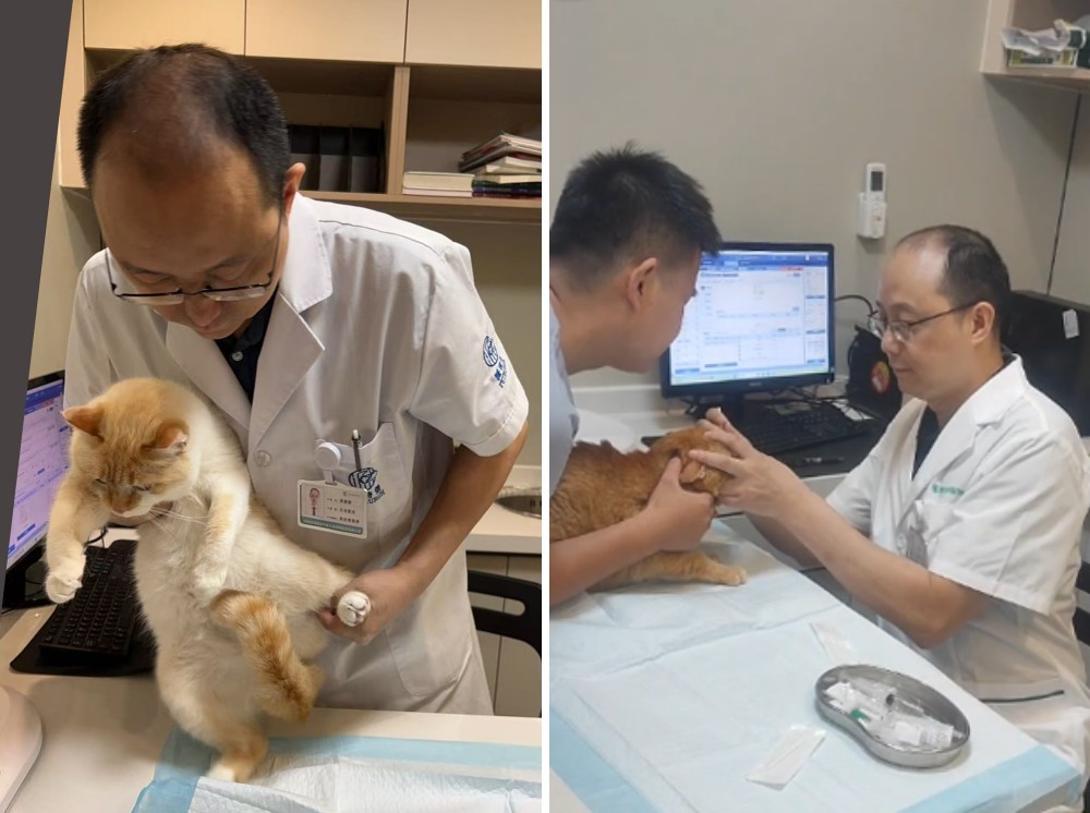 1764857498795445.jpg 1764857498795445.jpg