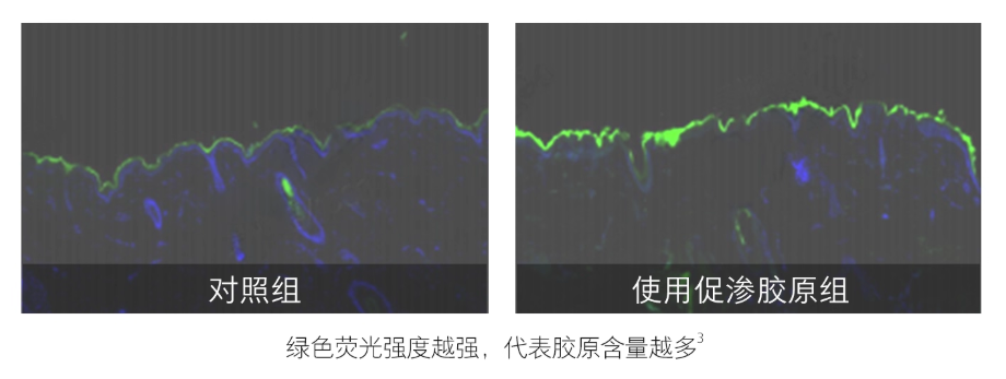 1765181768902037.png 3.png