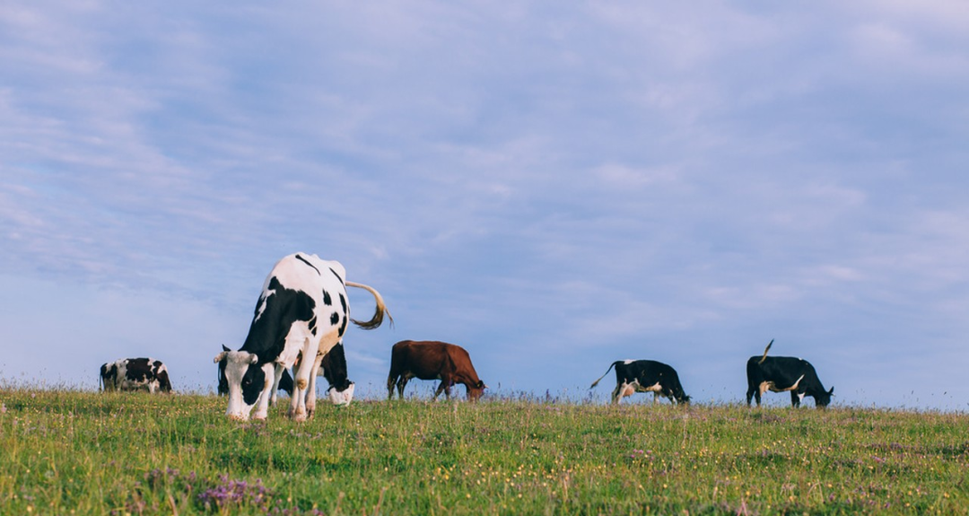 1765502827995533.png 1765502827995533.png