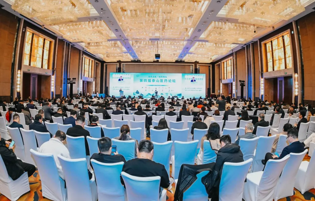 1765765765166392.png 1765765765166392.png