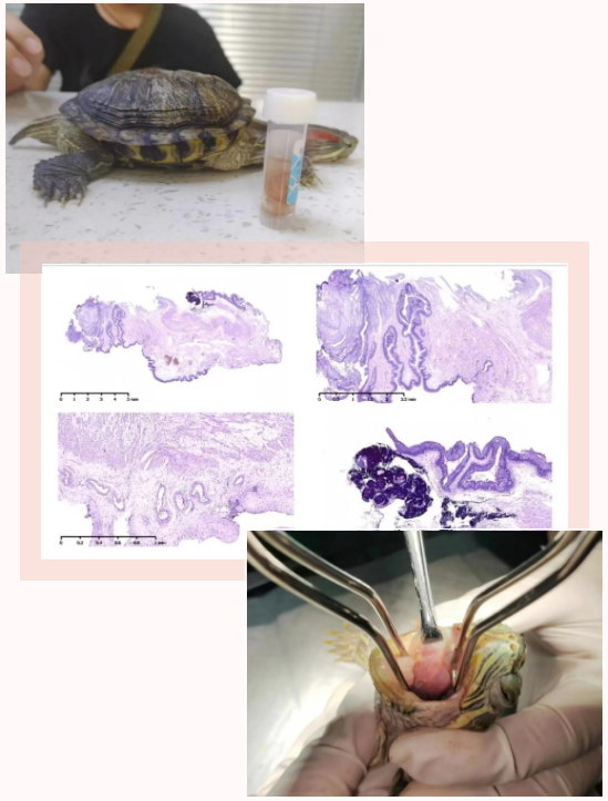 1773024470922743.png 图片3.png